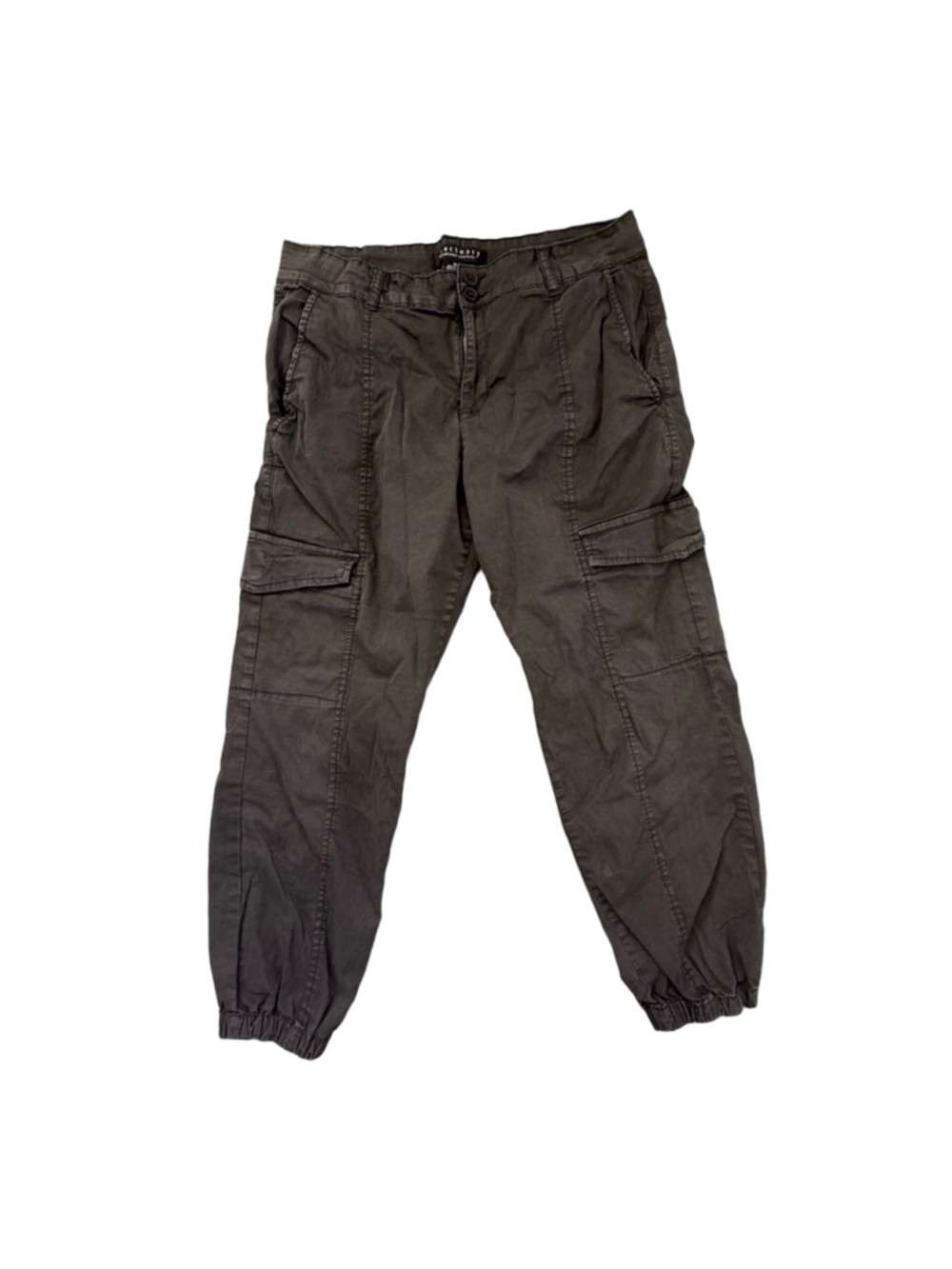 Sanctuary Standard Surplus Cargo Jogger Pants Grey Size 31